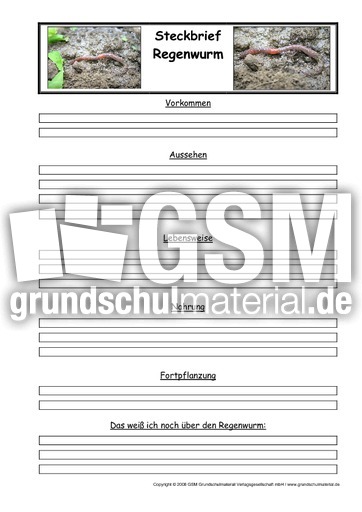 Regenwurm-Steckbriefvorlage.pdf